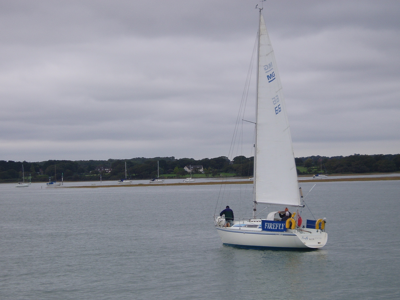 Firefly Sailboat