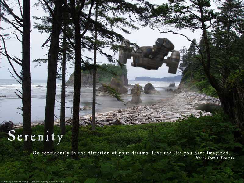 Serenity at the Seashore