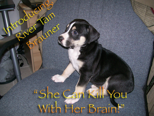"She Can Kill You With Her Brain!"