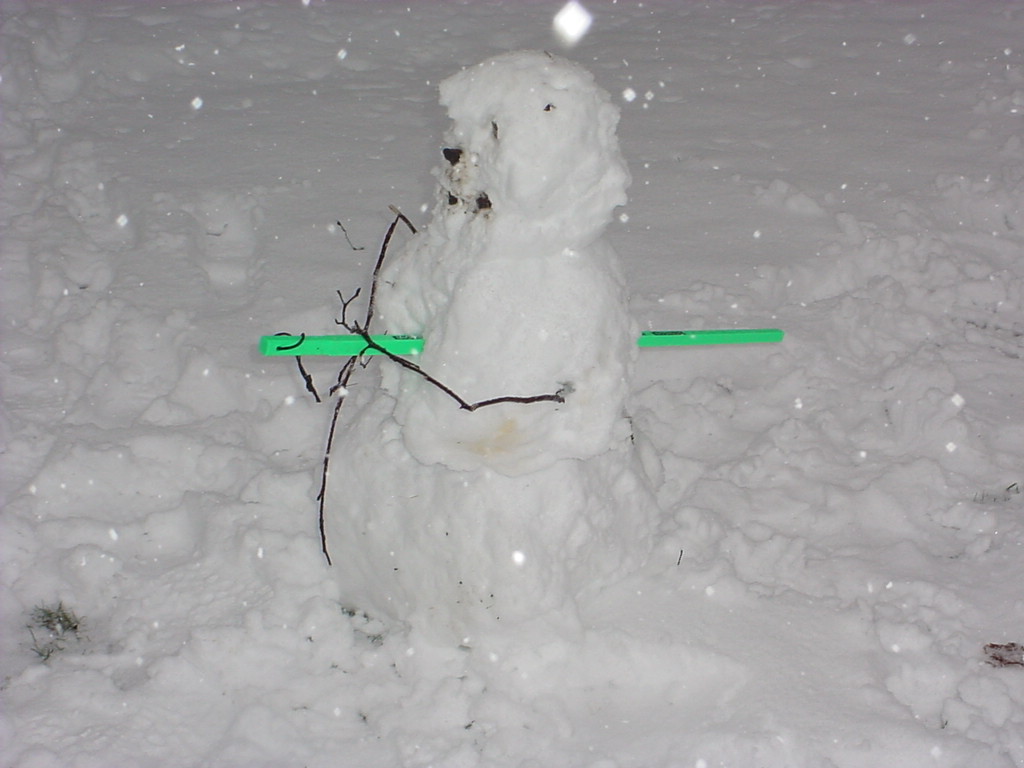 I made a snowman! Calvin & Hobbes style!