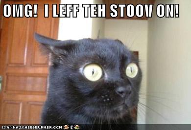 LOLcat takes acting cues from Nathan.
