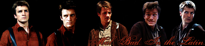Mal banner