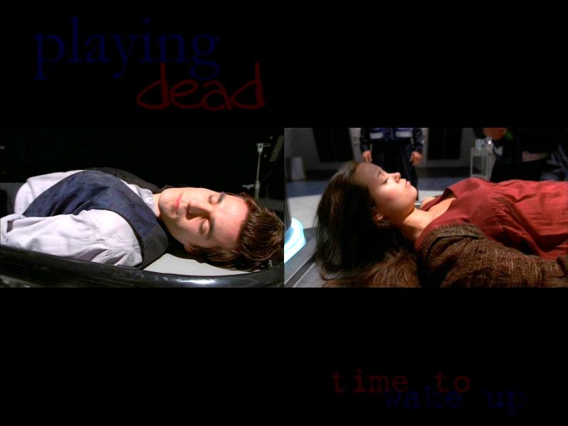 Playing Dead