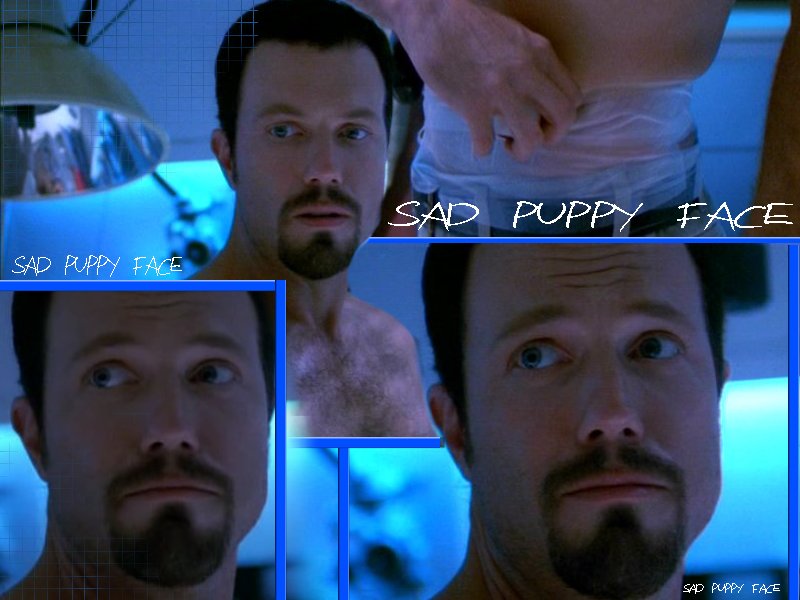 Sad Puppy Face