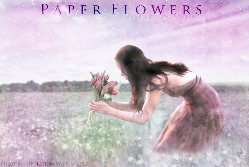 Paper Flowers