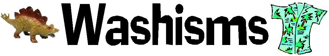 Washisms - The front logo