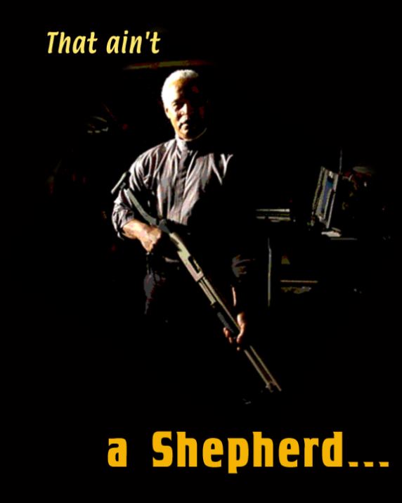 No Shepherd