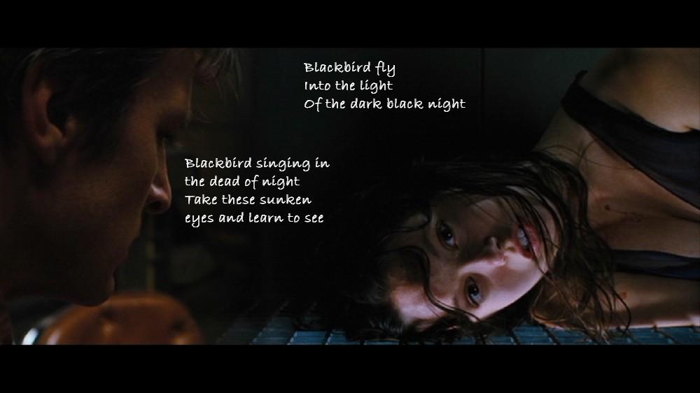 Blackbird (2 of 2)