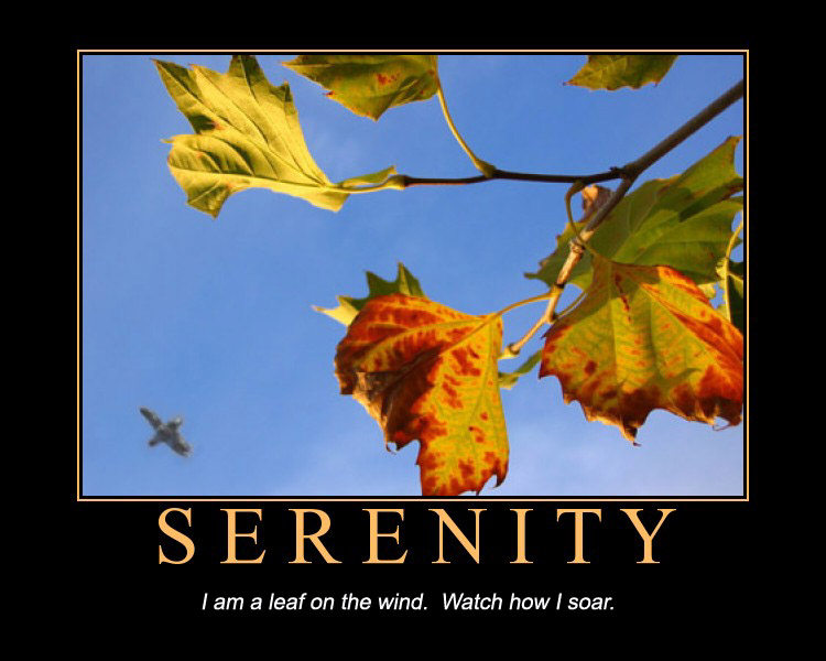 Motivator- Serenity