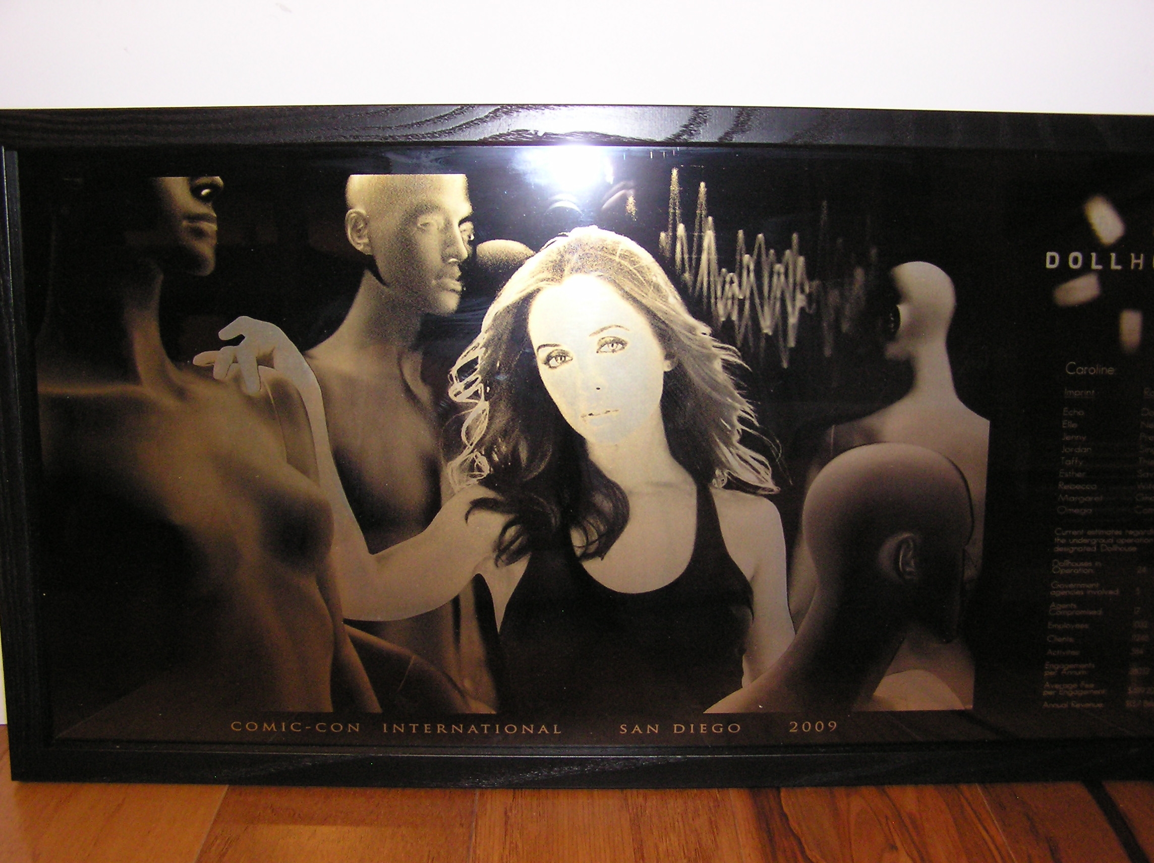 Shiny Dollhouse Artwork