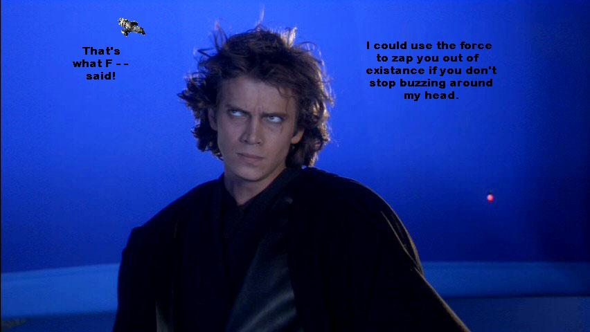 Dark Lord of the Force: Meet Serenity