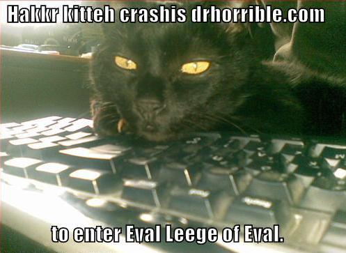 Hakkr Kitteh 