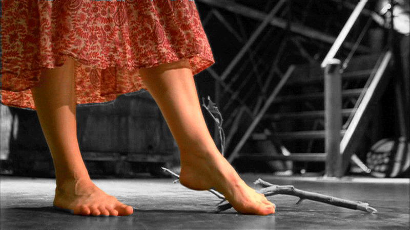 Feet