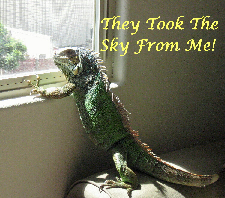 They took the Sky from Me!