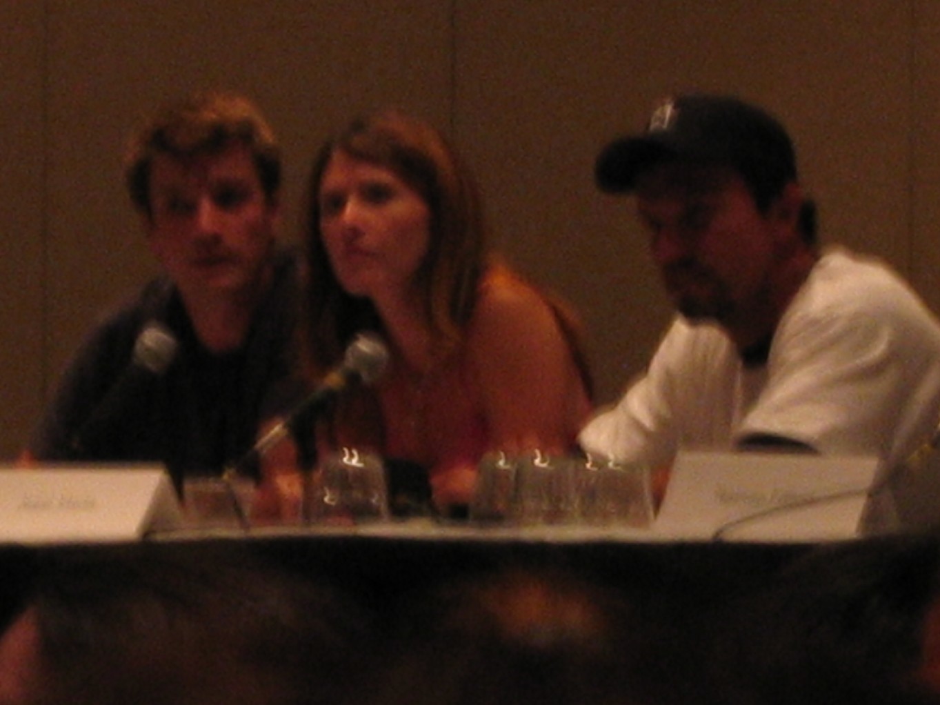 Friday Firefly panel at Dragon*Con