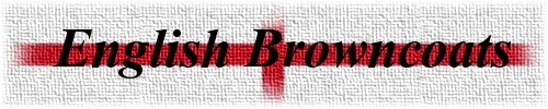 2nd English Browncoat Banner by Geekmafia