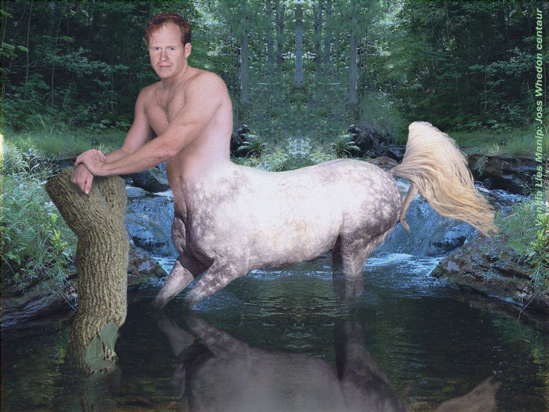 Joss on Four Feet