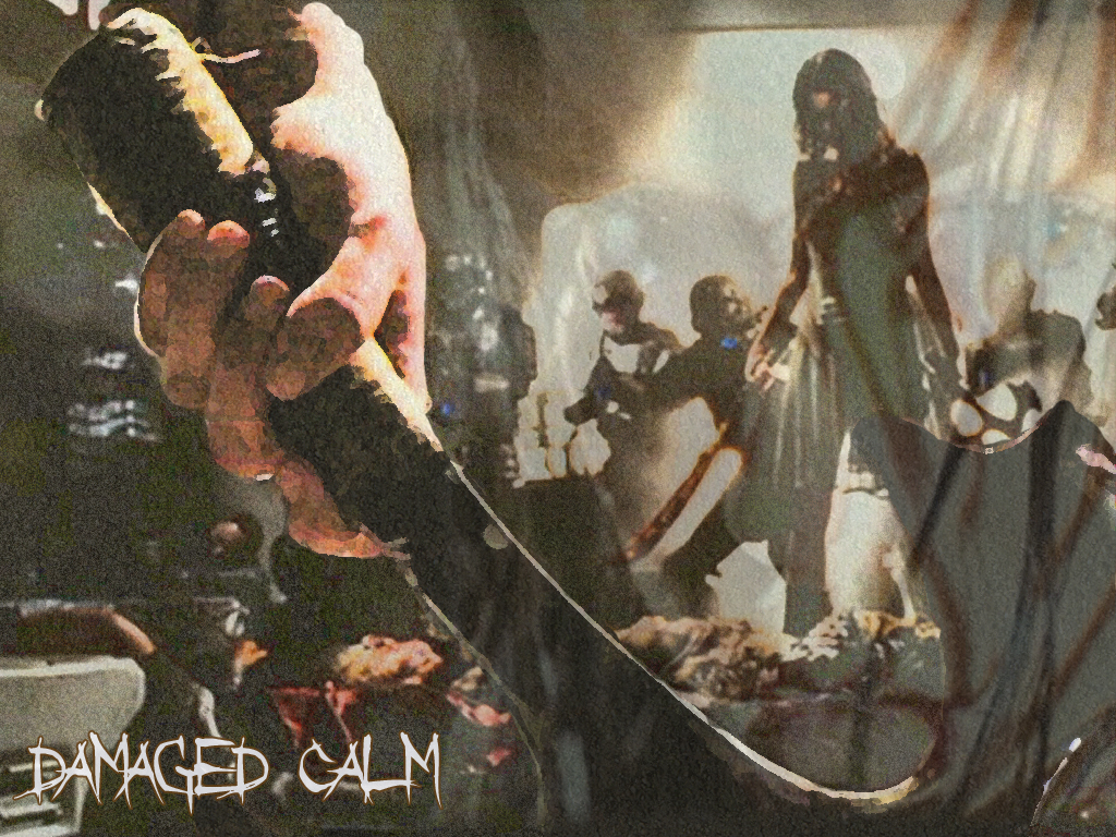 Damaged Calm