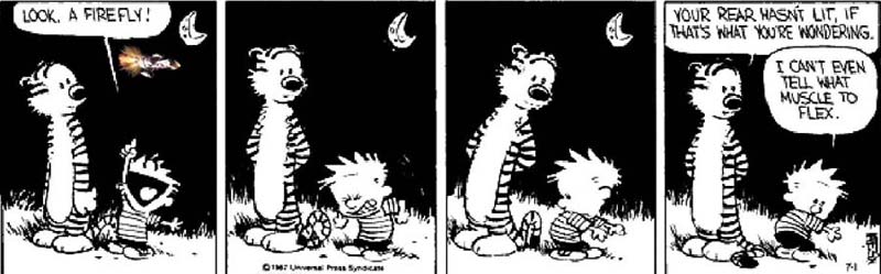 Calvin & Hobbes / Serenity - Another Tribute