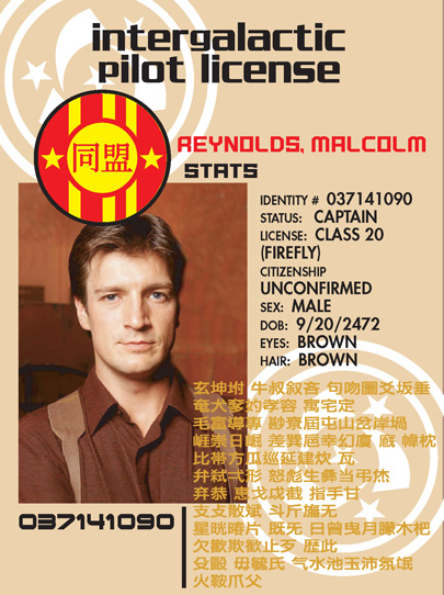 Reconstructed Pilots License