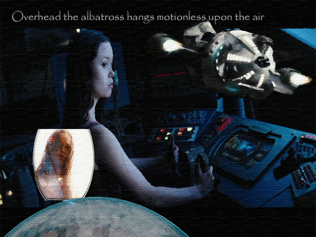 Albatross