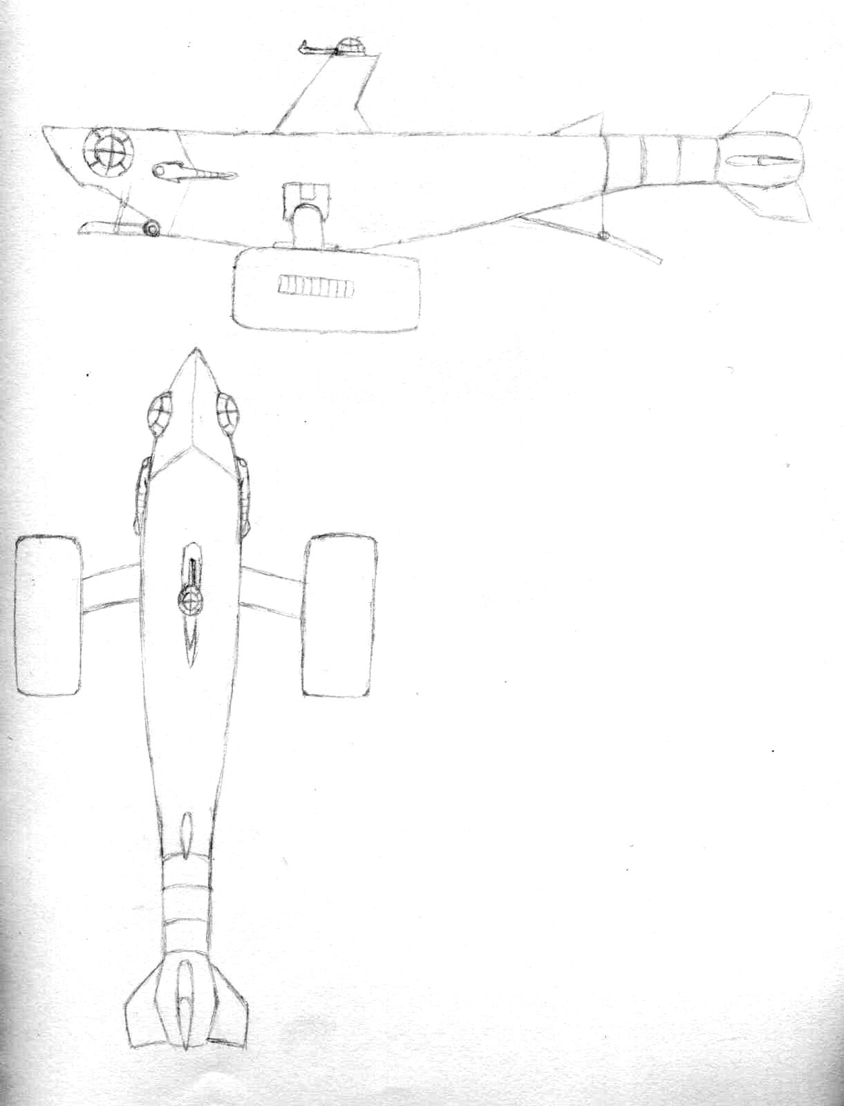 Shark Transport