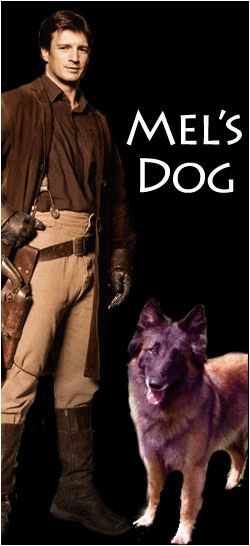 Mel's Dog