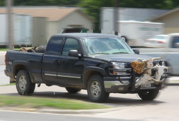 Reaver Truck