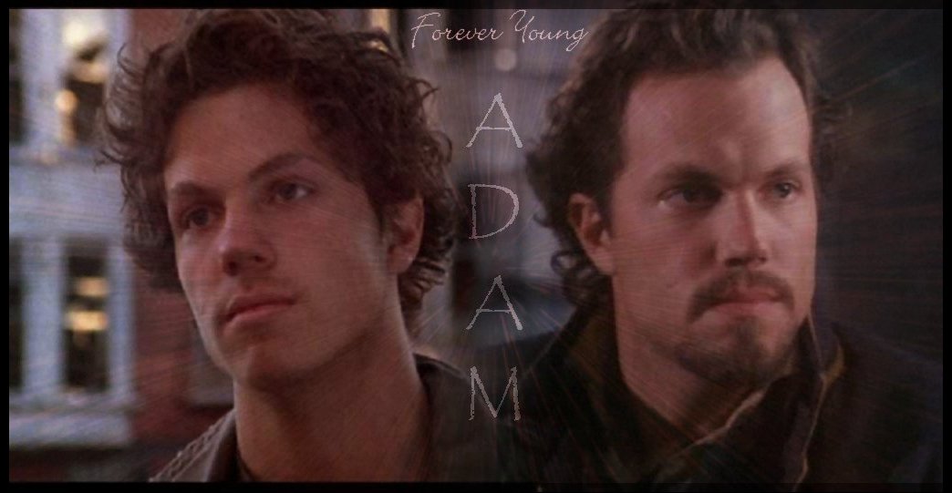 Adam Banner