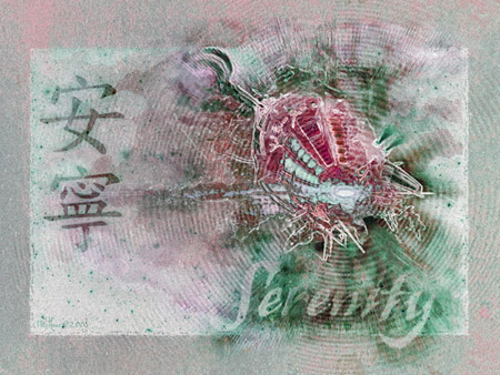 "SERENITY ROSE" ~ A Valentine For All (also early)