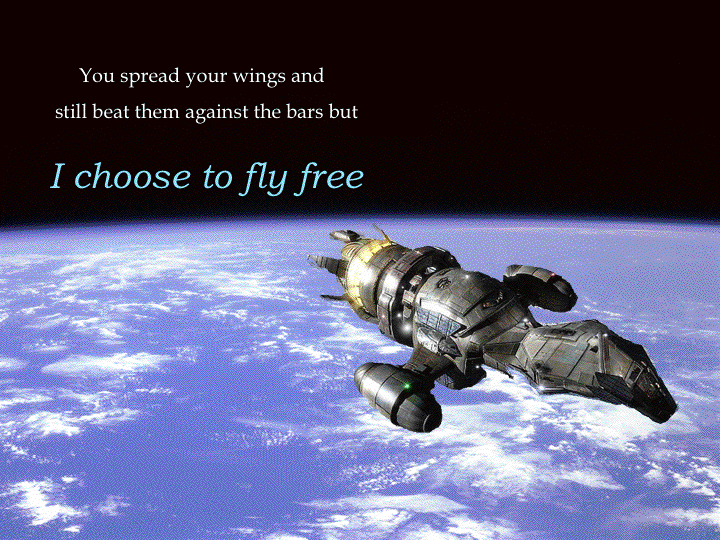 I choose to fly free