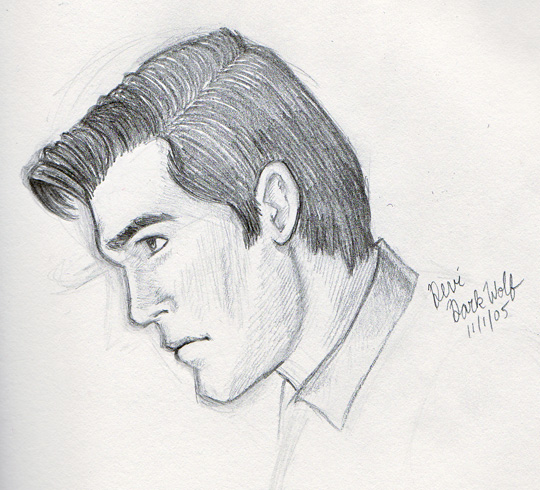 Simon profile sketch
