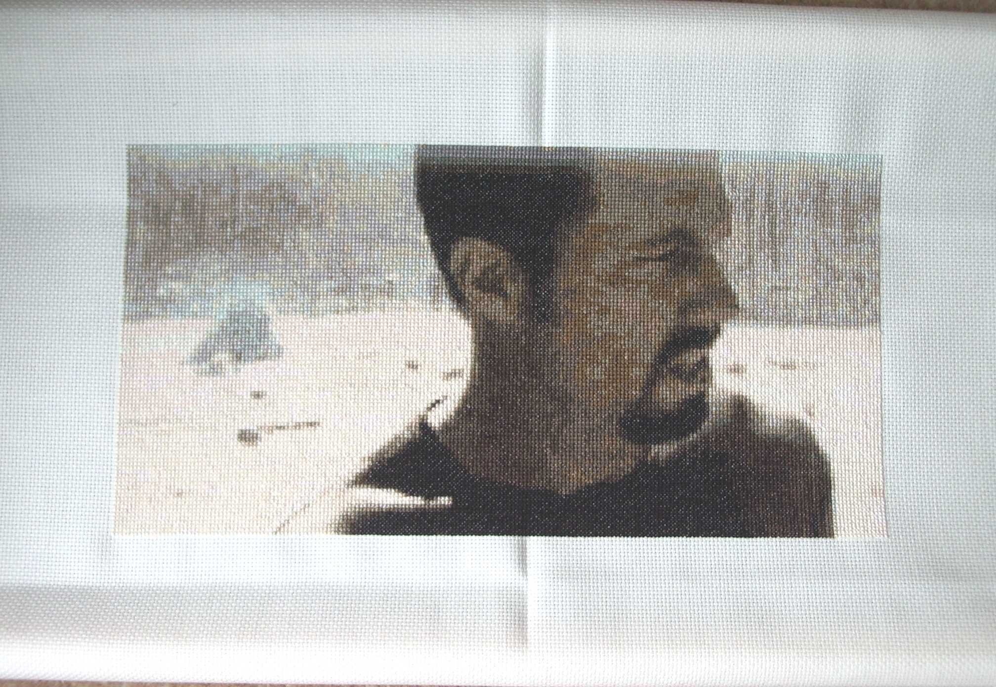 Textile Art - Jaynestown 1 (Cross stitch)