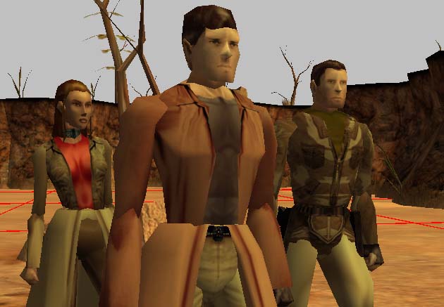 Preparing for Patience: A Neverwinter Nights Firefly Image