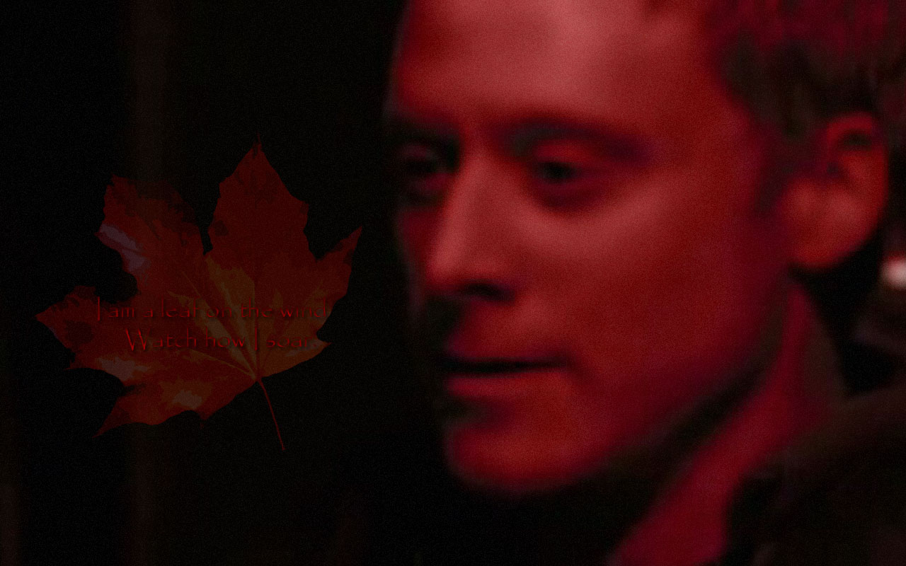 Leaf on the wind III