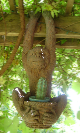 ...(not so) terrifying space monkey