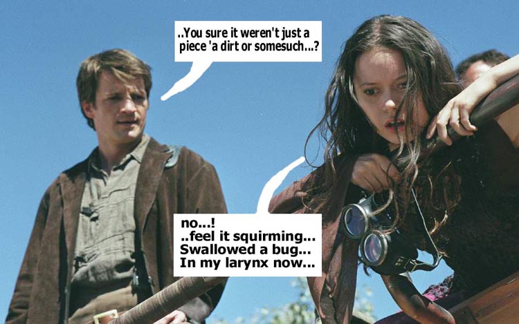 The Bug Incident