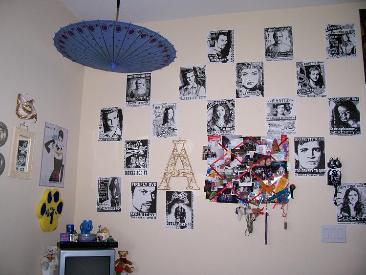 My Firefly Wall