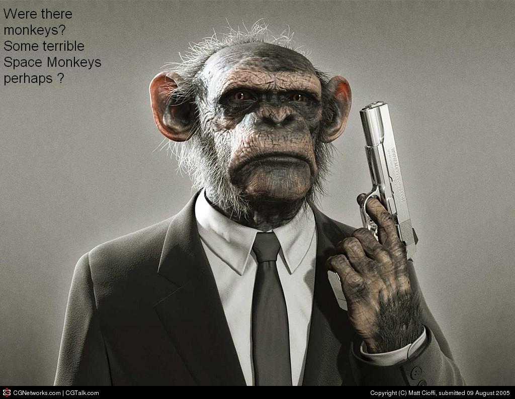 Space Monkey
