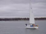 Firefly Sailboat