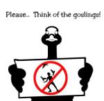 Think of the Goslings