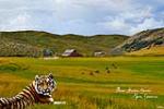 New Haven Ranch