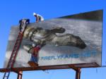 Firefly Billboard Campaign