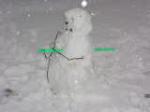 I made a snowman!  Calvin & Hobbes style!