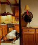Happy Thanksgiving!!!
