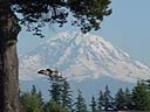 UFO’s exist!!! I swear!!! Not a fake I tell ya!!! :-)