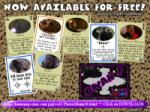 BWAH! Local Color  NOW AVAILABLE FOR FREE!