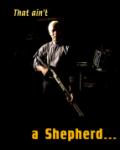 No Shepherd