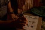 Inara's writing in Bushwacked