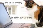 Armory Cat